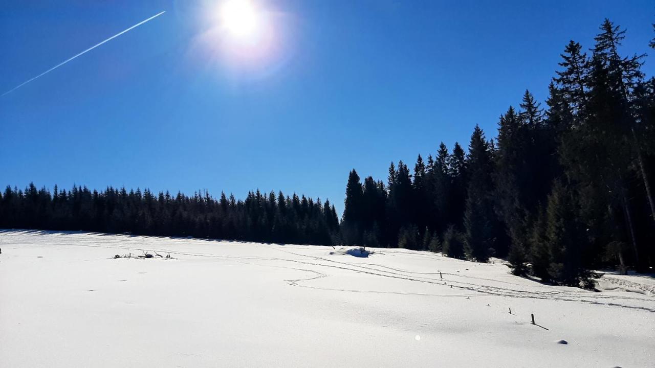 Romantiksuite Bei Seitberger Frauenberg Kültér fotó